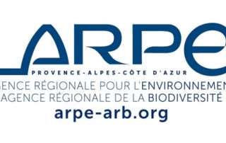 ARPE_ARB